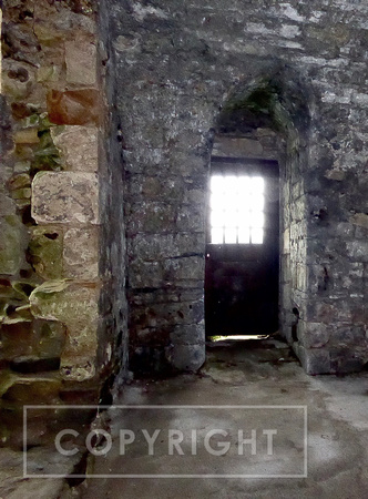 Inchcombe Abbey Door